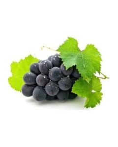 Traditional Balsamic 375ml